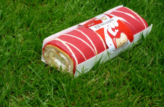 LONG TIME PICNIC